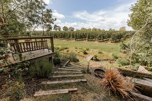 Photo 7- click for photo gallery